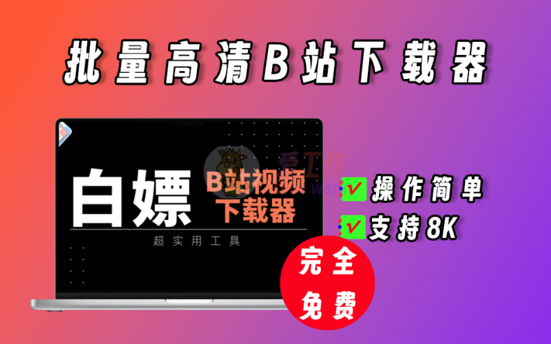 B站视频最新下载器，使用简单，支持批量。-爱工作