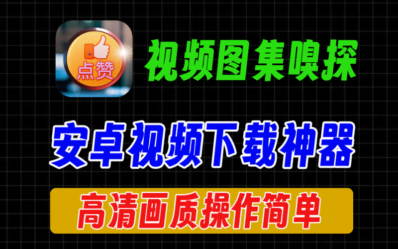 安卓端视频嗅探神器，支持浏览器视频下载，支持各种短视频下载和图集下载-爱工作