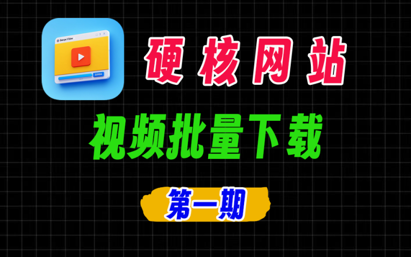 硬核网站【第1期】网页视频批量下载，支持浏览器安装插件，免费好用，抖音、小红书等-爱工作