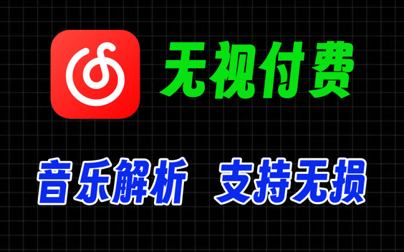 某易云音乐解析，支持无损音质下载，内置三条线路，完全免费-爱工作